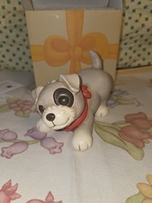 Thun cane meticcio usato  Campobasso