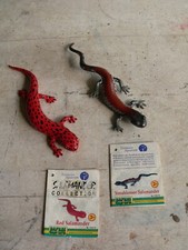 Safari ltd salamander usato  Santena