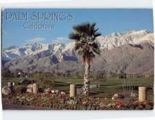 Postcard mesquite country for sale  Stevens Point