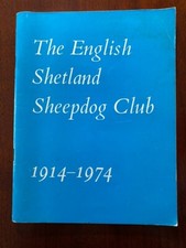 Rare english shetland for sale  WARRINGTON