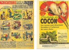 Cartes memoire soie d'occasion  Rosheim
