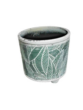 White green leaf for sale  Webster
