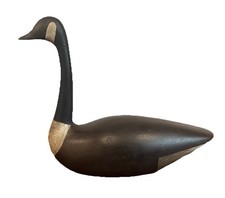 Canadian canada goose for sale  Southbridge