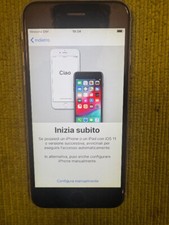 Apple iphone argento usato  Verona