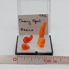 Gem mexican cherry for sale  Perryville
