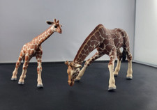 Schleich giraffenkuh saufend gebraucht kaufen  Balingen