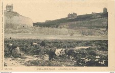 Cise wood beach d'occasion  Expédié en Belgium