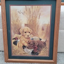 Framed prints lab for sale  Kuna
