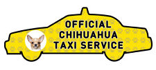 Funny chihuahua taxi d'occasion  Expédié en Belgium