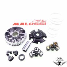 Variomatik malossi multivar gebraucht kaufen  Aschaffenburg