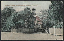 London wanstead infant for sale  BASINGSTOKE