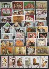 Chats d'occasion  Malestroit