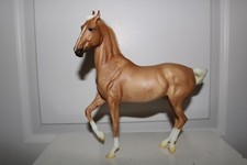 marwari horse for sale marwari horse for sale Brentwood