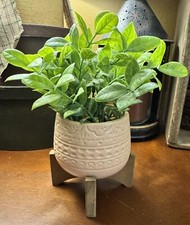 Floral greenery decor for sale  Dayton