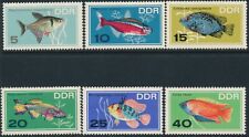 Ddr 1966 1221 gebraucht kaufen  Freiburg im Breisgau