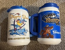 Disney water park for sale  Windermere
