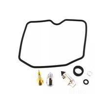 Carburetor repair kit for sale  BRIGHTON