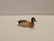 Blue winged teal for sale  Catawissa