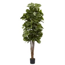 fig tree vase for sale fig tree vase for sale Lakewood