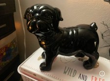 Black pug puppy for sale  Leander
