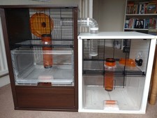 Double omlet gerbil for sale  LONDON