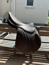 Henri rivel horse for sale  Bethesda
