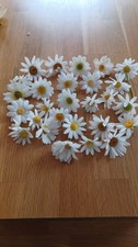Konvolut margeriten seidenblü gebraucht kaufen Konvolut margeriten seidenblü gebraucht kaufen  Hamburg