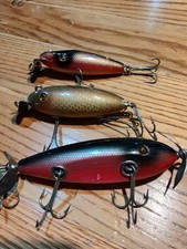 Early creek chub for sale  Saukville