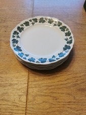 Hutschenreuther weinlaub speis gebraucht kaufen  Oelde