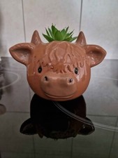 Highland cow faux for sale  WISBECH