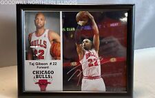 Taj gibson chicago for sale  Rockford