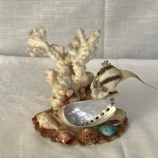 Natural coral shell for sale  EXMOUTH