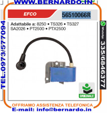 Bobina accensione efco usato  Francavilla in Sinni