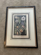 Framed print garden for sale  Youngsville