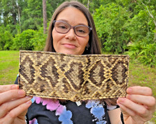 Eastern rattlesnake skin for sale  Silver Springs