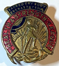 Vintage enamel badge for sale  HULL