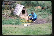 Woman with Dog House in 1980, Ektachrome Slide aa 29-15a, usado comprar usado  Enviando para Brazil