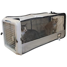 Sport pet grande usato  Roccagloriosa
