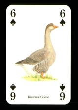 Playing card toulouse for sale  EASTBOURNE