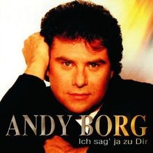 Sag dir andy gebraucht kaufen  Berlin
