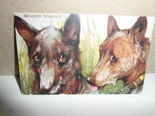 Künstler aberdeen terriers gebraucht kaufen  Sulzbach-Rosenberg