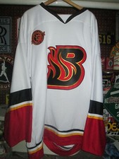Bloomington blaze 2011 for sale  Colorado Springs