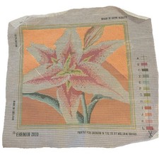 Kaffe fasset lily for sale  Norton