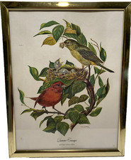 Vintage framed botanical for sale  Cincinnati