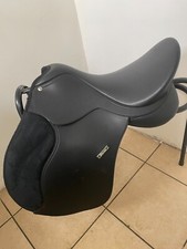 16.5 black wintec for sale  LOUTH