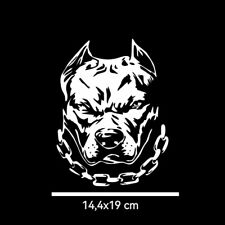 Adesivo auto bulldog usato  Paderno Ponchielli