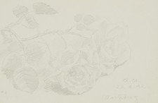 Steppes rosen 1942 gebraucht kaufen  Frankfurt am Main