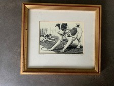Charles tunnicliffe signed for sale  CHICHESTER