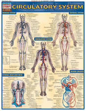 Circulatory system misc. for sale  Montgomery