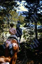 1963 35mm slides for sale  Columbia